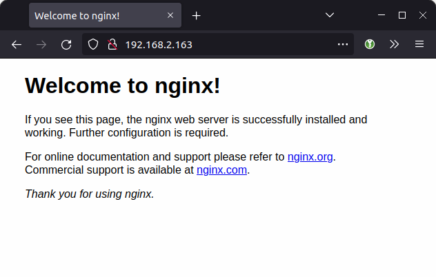 nginx default page